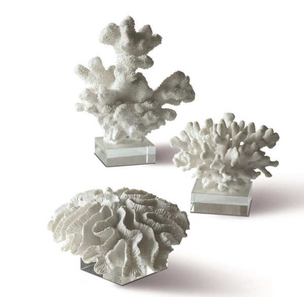 White Coral Sculptures