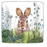 Chou Chou Bunny