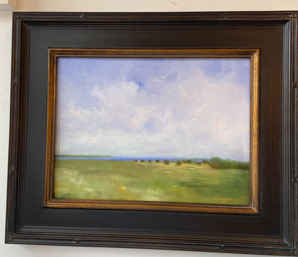 View from the Eisenhower House