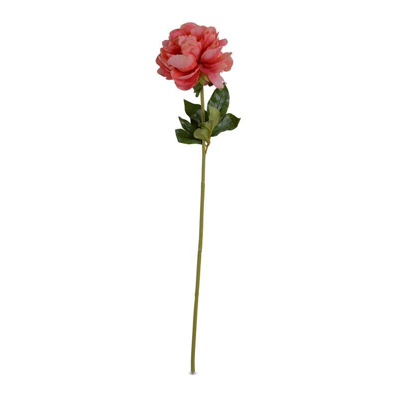 Peony Stem with Leaves, 28" -Coral