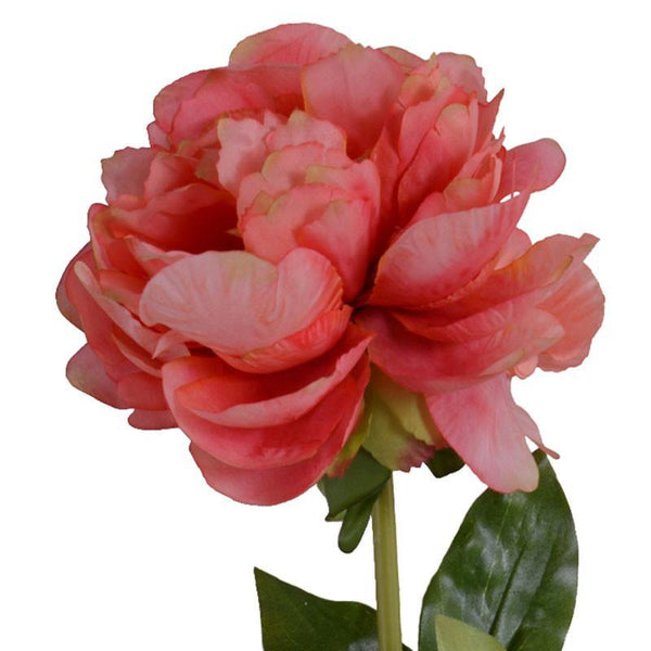 Peony Stem with Leaves, 28" -Coral