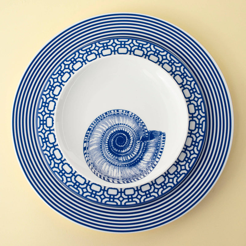 Shells Small Plates, Set of 4
