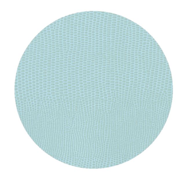 Lizard Coaster Round  Set