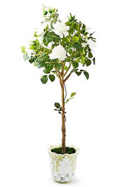 Cameo 52" Potted Rose Topiary
