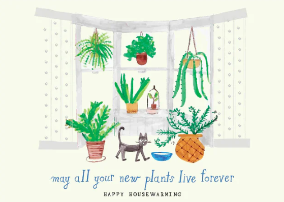 Mr. Boddington's Cards