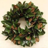 The Classic 30-inch Lucknow Southern Fresh Magnolia Wreath: 30-inch
