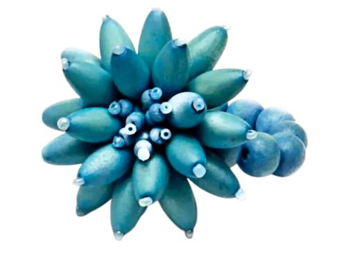 Wooden Dahlia Napkin RIng