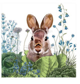 Chou Chou Bunny