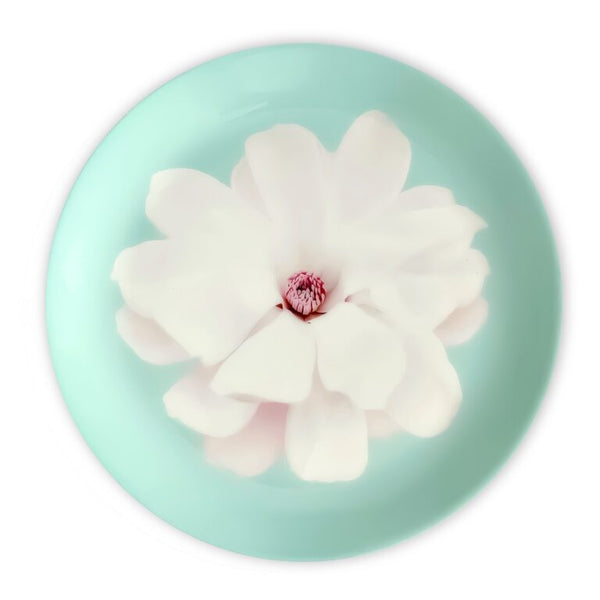 STAR MAGNOLIA DESSERT PLATES