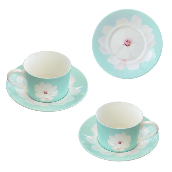 STAR MAGNOLIA CUPS & SAUCERS