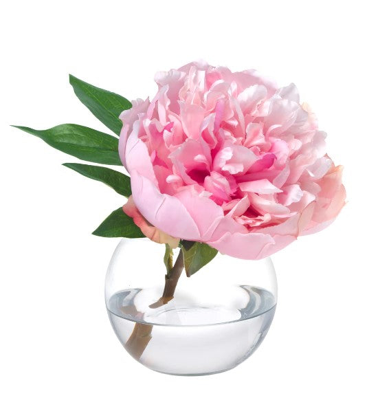 Peony Blossom in Glass Bowl