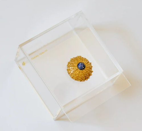 SEA URCHIN ACRYLIC BOX