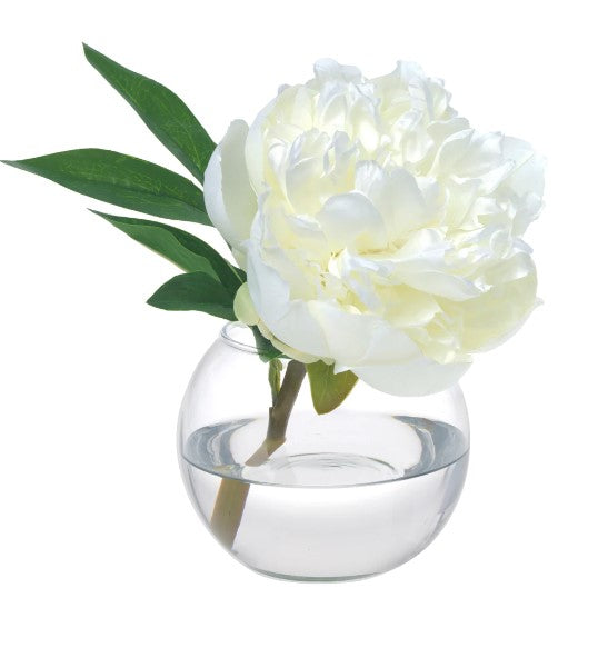 Peony Blossom in Glass Bowl