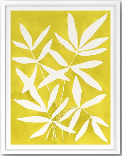"Citron Plant"" by Kate Roebuck