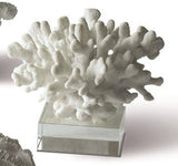 White Coral Sculptures