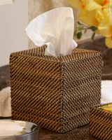 Tissue Holder